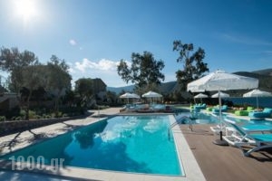 Lavender Cove_lowest prices_in_Hotel_Peloponesse_Argolida_Archea (Palea) Epidavros