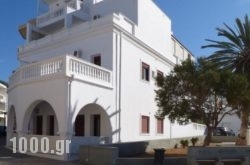 White House Hotel-Apart in Karpathos Chora, Karpathos, Dodekanessos Islands