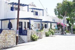 Free Sun Rooms And Apartments_best deals_Room_Cyclades Islands_Paros_Paros Chora