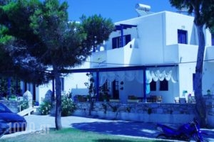Free Sun Rooms And Apartments_best prices_in_Room_Cyclades Islands_Paros_Paros Chora