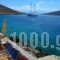 Villa Hiona_accommodation_in_Villa_Dodekanessos Islands_Halki_Halki Chora