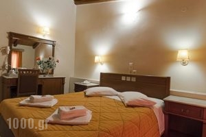 Parnassos Delphi Hotel_holidays_in_Hotel_Central Greece_Fokida_Delfi