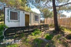 Forest Cottage in Athens, Attica, Central Greece