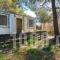 Forest Cottage_accommodation_in_Hotel_Dodekanessos Islands_Rhodes_Rhodes Rest Areas