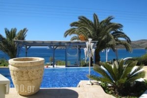 Hotel Dolphin St Giorgio_holidays_in_Hotel_Cyclades Islands_Antiparos_Antiparos Rest Areas