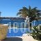 Hotel Dolphin St Giorgio_holidays_in_Hotel_Cyclades Islands_Antiparos_Antiparos Rest Areas
