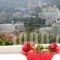 Argo Studios_lowest prices_in_Hotel_Cyclades Islands_Syros_Posidonia