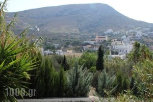 Argo Studios_best prices_in_Hotel_Cyclades Islands_Syros_Posidonia