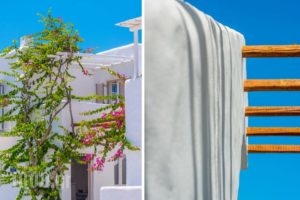 Delmar Apartments & Suites_holidays_in_Apartment_Cyclades Islands_Milos_Apollonia