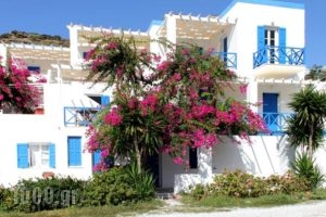 Argo Studios_best deals_Hotel_Cyclades Islands_Syros_Posidonia