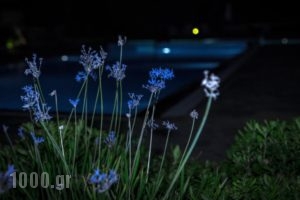 Lagada Bay Resort_holidays_in_Hotel_Crete_Lasithi_Ierapetra