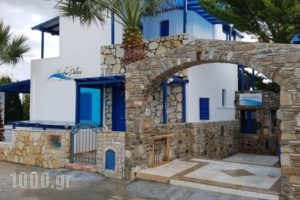 Serifos Palace_holidays_in_Hotel_Cyclades Islands_Serifos_Livadi