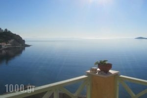 Apollonos Seafront Apartment_accommodation_in_Apartment_Cyclades Islands_Syros_Kini