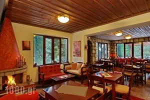 Valtessiniko Studios_best prices_in_Hotel_Peloponesse_Arcadia_Dimitsana