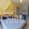 Kalypso Studios & Apartments_holidays_in_Apartment_Ionian Islands_Kefalonia_Vlachata