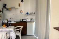 Athina Studios in Papiggo , Ioannina, Epirus