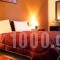 Hotel Odysseas_best deals_Hotel_Thessaly_Karditsa_Kalyvia