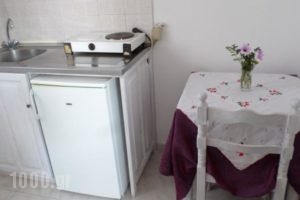 Crystal Apartments & Rooms_lowest prices_in_Room_Sporades Islands_Skopelos_Skopelos Chora