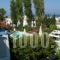 Panorama Paros_best deals_Hotel_Cyclades Islands_Paros_Paros Chora