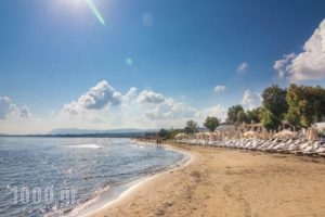 Sunny Point Villa_best deals_Villa_Crete_Chania_Agia Marina