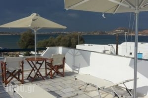 Summer Times Studios_accommodation_in_Hotel_Cyclades Islands_Naxos_Naxos chora