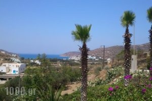 Apaggio Apartments_best prices_in_Apartment_Cyclades Islands_Amorgos_Katapola