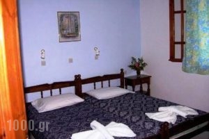 Korali Apartments_accommodation_in_Room_Aegean Islands_Samos_MarathoKambos