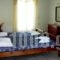 Korali Apartments_best prices_in_Room_Aegean Islands_Samos_MarathoKambos