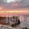 Frini Studios_accommodation_in_Hotel_Aegean Islands_Lesvos_Plomari