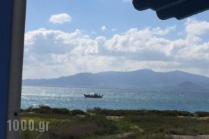 Depis Aqua Beach Resort_best deals_Hotel_Cyclades Islands_Naxos_Mikri Vigla