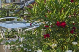Kimon Athens Hotel_best deals_Hotel_Central Greece_Attica_Athens