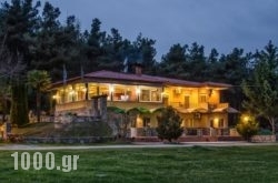 River Side Rooms in Zakinthos Rest Areas, Zakinthos, Ionian Islands