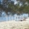 Studio Lazaridi_best deals_Hotel_Aegean Islands_Thassos_Thassos Chora