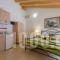 Apartments Villa Apostolis_best deals_Villa_Epirus_Preveza_Parga