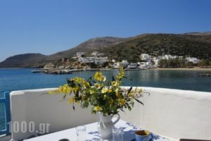 Ostria Studios - Spilia_accommodation_in_Hotel_Cyclades Islands_Folegandros_Folegandros Chora