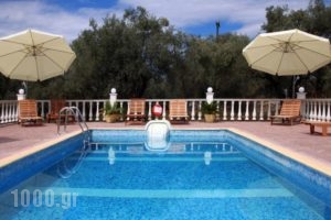 Georgia Studios_holidays_in_Hotel_Sporades Islands_Skopelos_Skopelos Chora