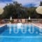 Georgia Studios_holidays_in_Hotel_Sporades Islands_Skopelos_Skopelos Chora