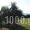 Akti Anastasia_best deals_Hotel_Ionian Islands_Corfu_Acharavi