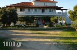 Mikro Nisi Studios in Zakinthos Rest Areas, Zakinthos, Ionian Islands