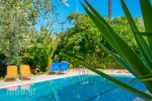Villa Eden_best prices_in_Villa_Aegean Islands_Thasos_Thasos Chora
