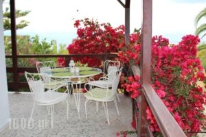 Holiday Home Aghia Triada_best prices_in_Hotel_Thessaly_Magnesia_Koropi