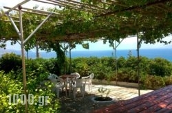 Thanasis Apartments in Kefalonia Rest Areas, Kefalonia, Ionian Islands