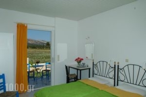 Thalia Studios_lowest prices_in_Hotel_Ionian Islands_Zakinthos_Laganas