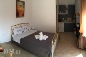 Elenas Apartments_best prices_in_Apartment_Ionian Islands_Paxi_Paxi Chora