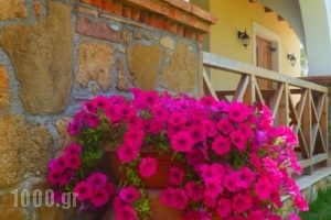 Trikalioti'S Estate_holidays_in_Hotel_Peloponesse_Ilia_Pyrgos