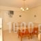 Sagittarius Apartments_best prices_in_Apartment_Dodekanessos Islands_Kos_Kos Rest Areas