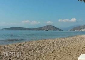 Argolic Strand Camping_best prices_in_Hotel_Peloponesse_Arcadia_Astros