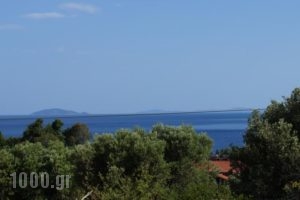 Sunny Apartments Halkidiki_accommodation_in_Apartment_Macedonia_Halkidiki_Kassandreia