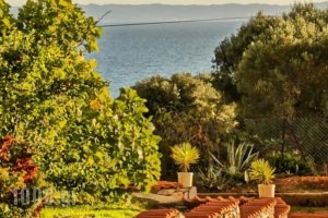 Sunny Apartments Halkidiki_holidays_in_Apartment_Macedonia_Halkidiki_Kassandreia