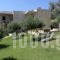 Asion Lithos_best deals_Hotel_Crete_Heraklion_Tymbaki